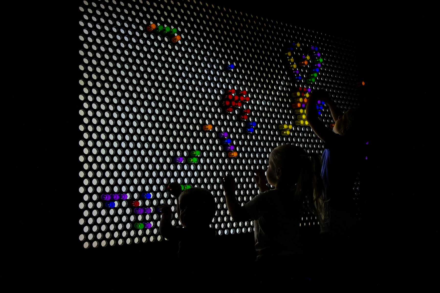 DSCF2250