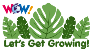 Let's Get Growing! Garden Program